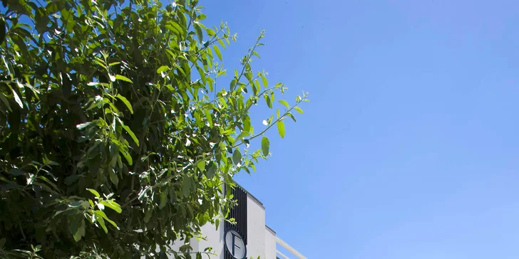 Relax v Rimini: hotel přímo u pláže, snídaně, polopenze nebo plná penze, bazén i wellness