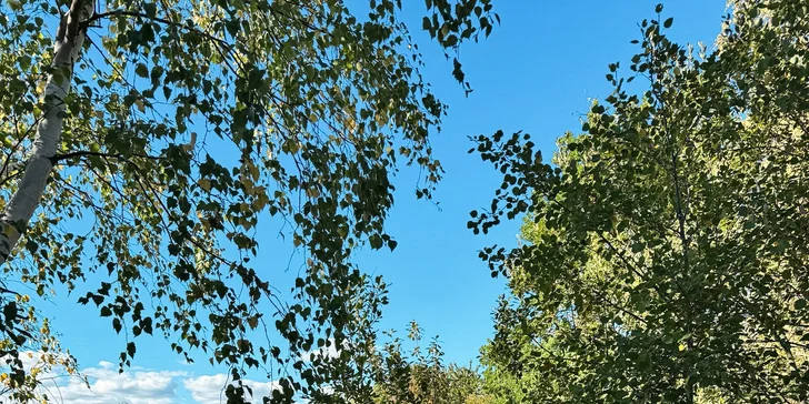 Plně vybavený posed pro 2 osoby v srdci přírody kousek od CHKO Brdy