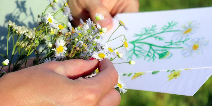 Venkovní hra Tajemné bylinky Petřína: procházka i vlastnoruční výroba oleje