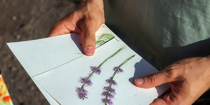 Venkovní hra Tajemné bylinky Petřína: procházka i vlastnoruční výroba oleje