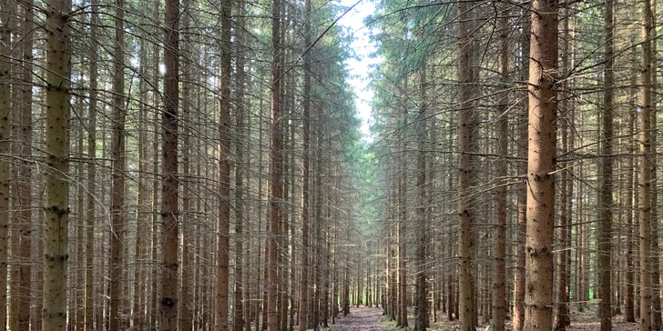 Venkovní únikové hry: vybírejte z 19 únikovek v různých městech po celé ČR