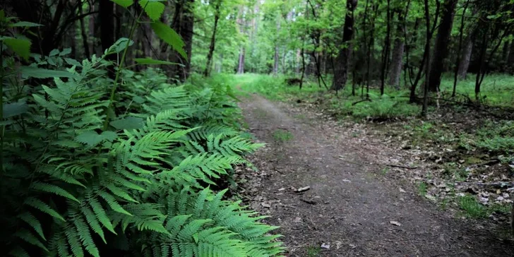 Venkovní únikové hry: vybírejte z 19 únikovek v různých městech po celé ČR