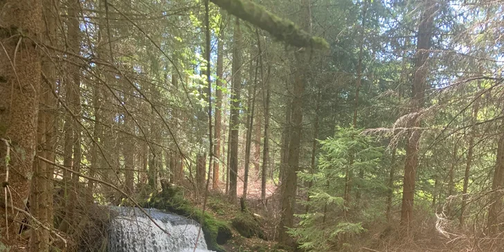 Venkovní únikové hry: vybírejte z 19 únikovek v různých městech po celé ČR