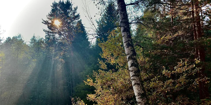 Venkovní únikové hry: vybírejte z 19 únikovek v různých městech po celé ČR