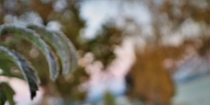 Venkovní únikové hry: vybírejte z 19 únikovek v různých městech po celé ČR