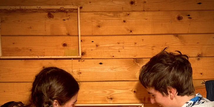 Úniková hra ve včelím světě: netradiční hádanky pro dva i partu přátel