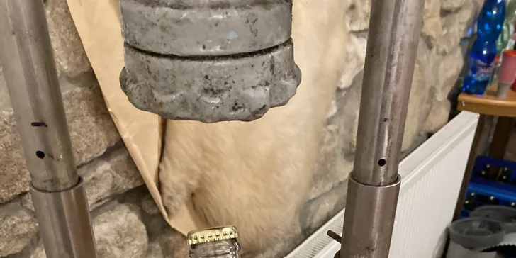 Kurz výroby cideru pro 1 nebo 2 osoby a 2–4 l výsledného nápoje jako výslužka