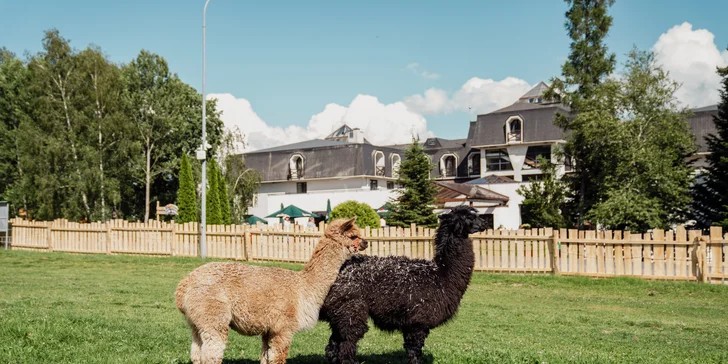 Rodinný relax v Gerlachově: polopenze, neomezený wellness i bohatý program pro děti