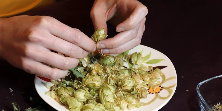 Kurz výroby bylinných čajů vč. ochutnávky, pro 1 nebo 2 osoby