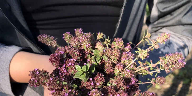 Kurz výroby bylinných čajů vč. ochutnávky, pro 1 nebo 2 osoby