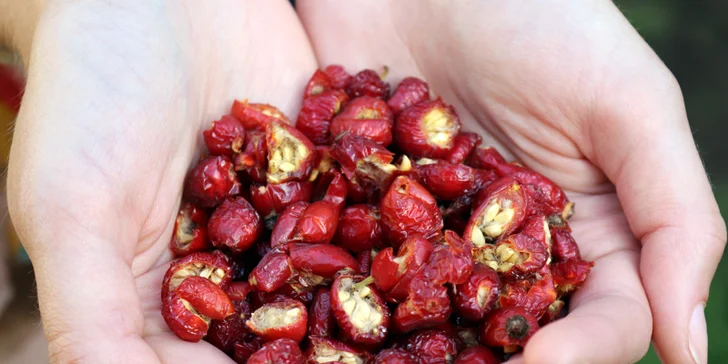 Kurz výroby bylinných čajů vč. ochutnávky, pro 1 nebo 2 osoby