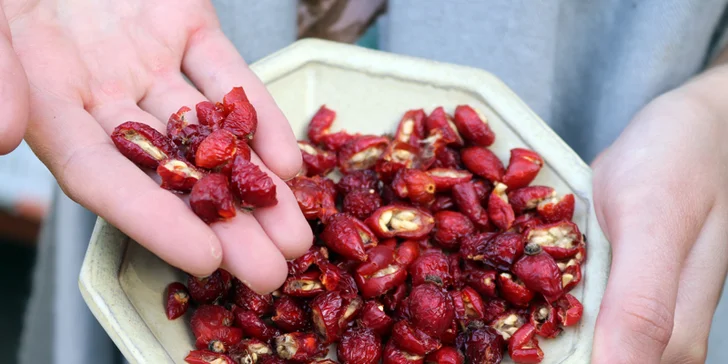 Kurz výroby bylinných čajů vč. ochutnávky, pro 1 nebo 2 osoby