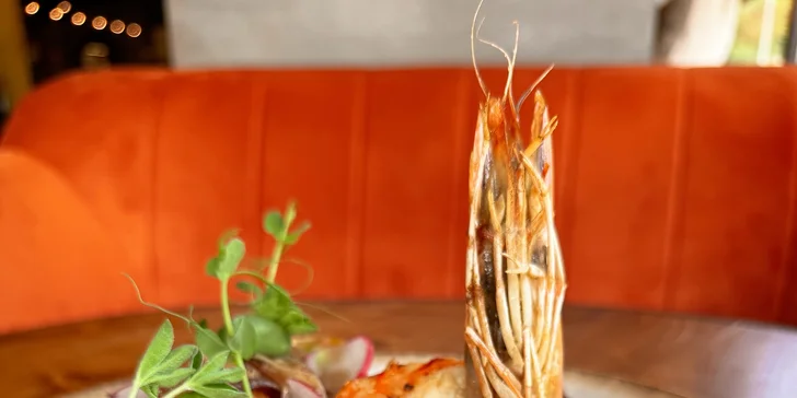 Do zoo i na Ještěd: pobyt v hotelu a hostelu se snídaní v klidné části Liberce