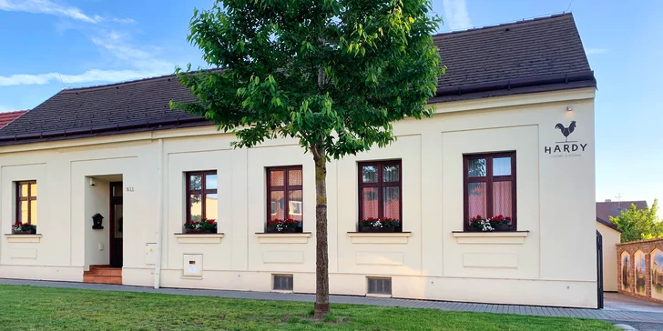 Penzion jen 500 m od zámku Valtice se snídaní i degustací koňaků