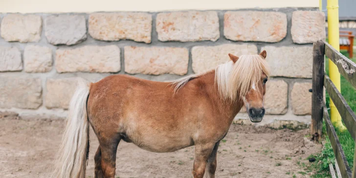 Pobyt v Lužických horách: snídaně i lahev prosecca a vstup do sauny