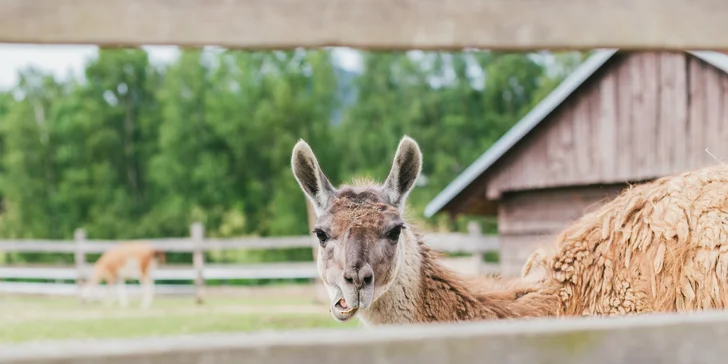 Pobyt v Lužických horách: snídaně i lahev prosecca a vstup do sauny