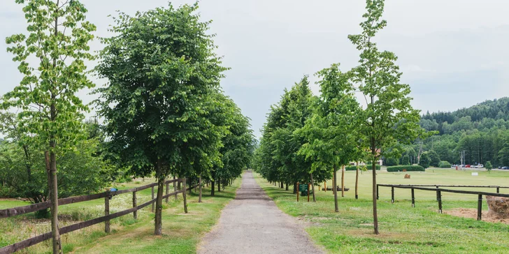 Pobyt v Lužických horách: snídaně i lahev prosecca a vstup do sauny