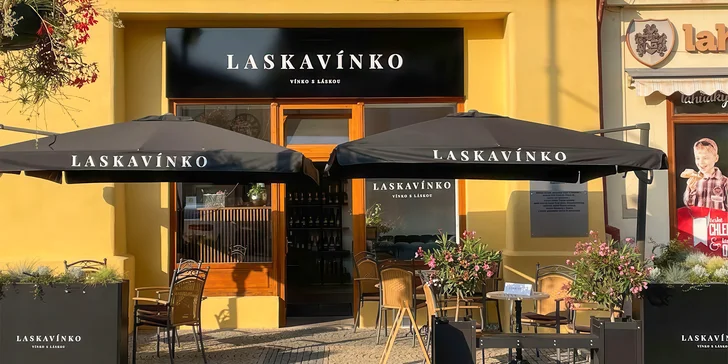 Degustace vína či nealko vína vč. tapas a výkladu, pro 1 i 2 osoby