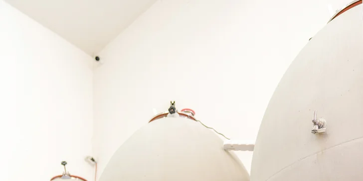 Degustace vulkanických vín pro dva v srdci Českého středohoří ve vinařství WILOMENNA