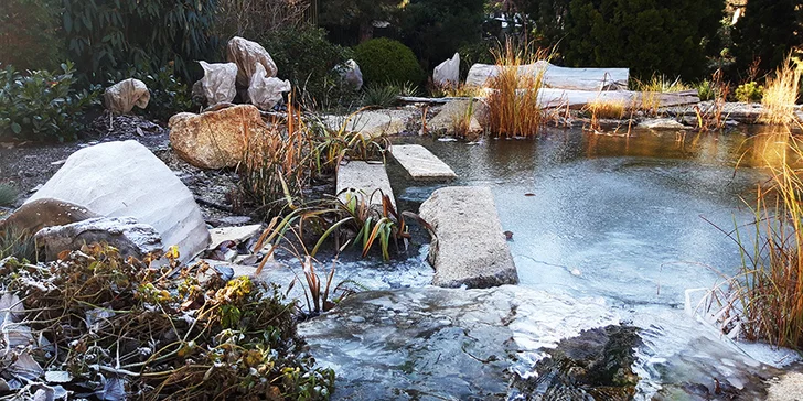 Zkrášlení zahrady v Praze a okolí: 90 min. odborné konzultace na místě