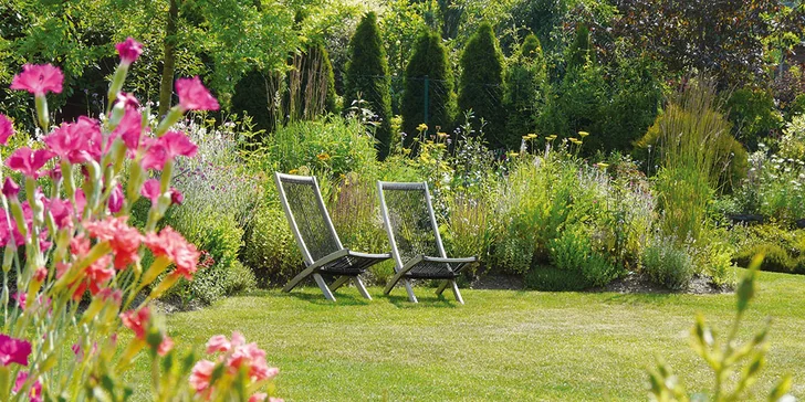 Zkrášlení zahrady v Praze a okolí: 90 min. odborné konzultace na místě