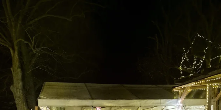 Rodinná procházka s alpakou pro 2 dospělé a 2 děti: seznamka i krmení a focení