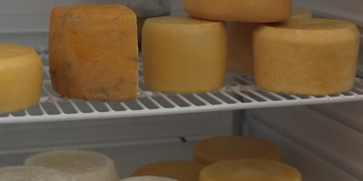 Vyrobte si domácí sýr, tvaroh nebo kefír: online kurz včetně osobních konzultací