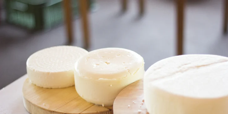 Vyrobte si domácí sýr, tvaroh nebo kefír: online kurz včetně osobních konzultací