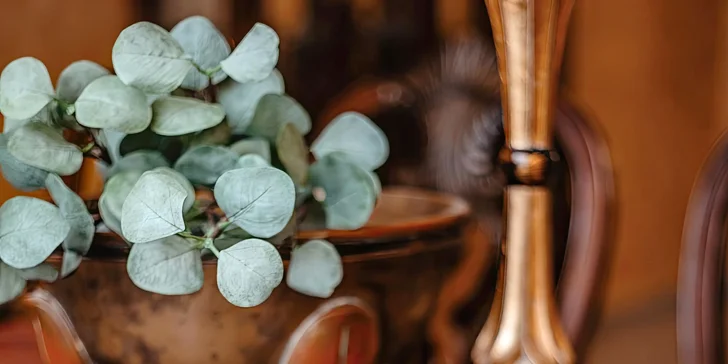 Pobyt v centru Chomutova: historický hotel se snídaní nebo polopenzí