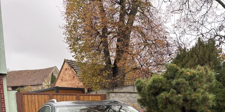 Detailní čištění auta: interiér vč. tepování, exteriér, ozon i kompletní balíček