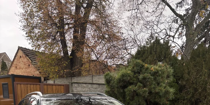 Detailní čištění auta: interiér vč. tepování, exteriér, ozon i kompletní balíček