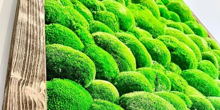 Workshop výroby mechového obrazu pro 1, 2 nebo 4 osoby