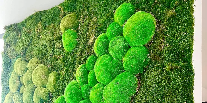 Workshop výroby mechového obrazu pro 1, 2 nebo 4 osoby