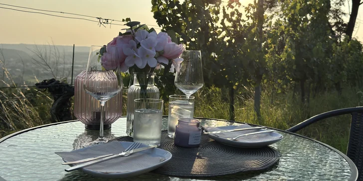 Zážitková večeře uprostřed vinice s degustací, lahví vína a prohlídkou pro dva