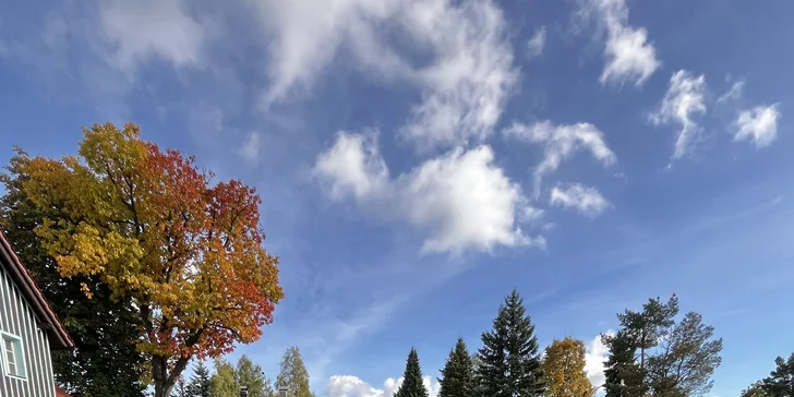 Dovolená v oblasti Tiských stěn: moderní prázdninový domek až pro 7 osob, možnost wellness