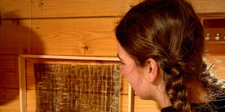 Úniková hra ve včelím světě: netradiční hádanky pro dva i partu přátel