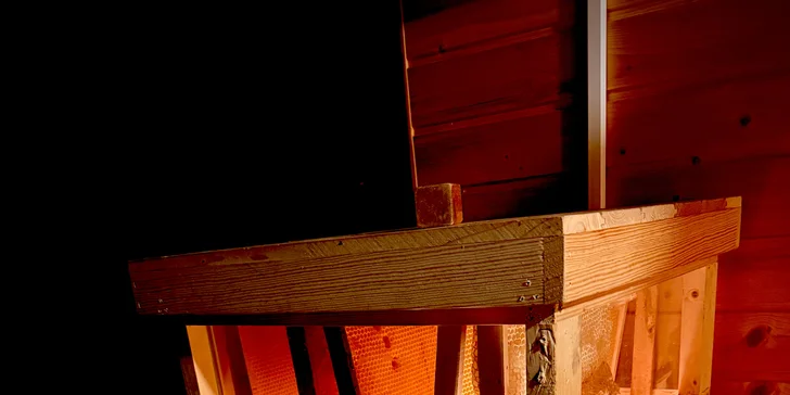 Úniková hra ve včelím světě: netradiční hádanky pro dva i partu přátel