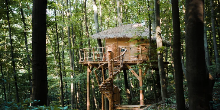 Zážitkový pobyt v unikátním Treehouse v Trenčianských Teplicích se snídaní a vstupem do wellness
