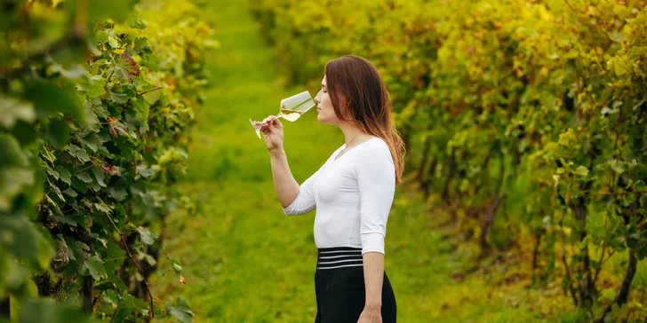 Na rok vinařem v srdci Českého středohoří: vinařské práce, adopce keře i 6 lahví vína