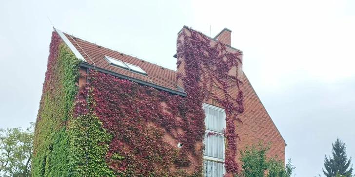 Online průvodce Prahou přímo v mobilu: historické centrum i slavné vily známých architektů