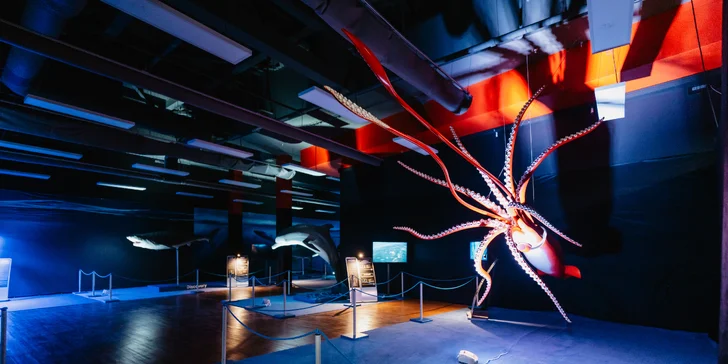 Vstupy na výstavu Obři oceánů v OC Westfield na Černém Mostě