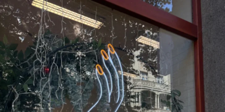 Hýčkání pro ruce i nohy: Manikúra, pedikúra či modeláž nehtů