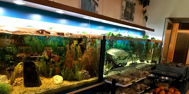 Snězte, co můžete v české restauraci: teplá a studená jídla, řízky, zmrzlina