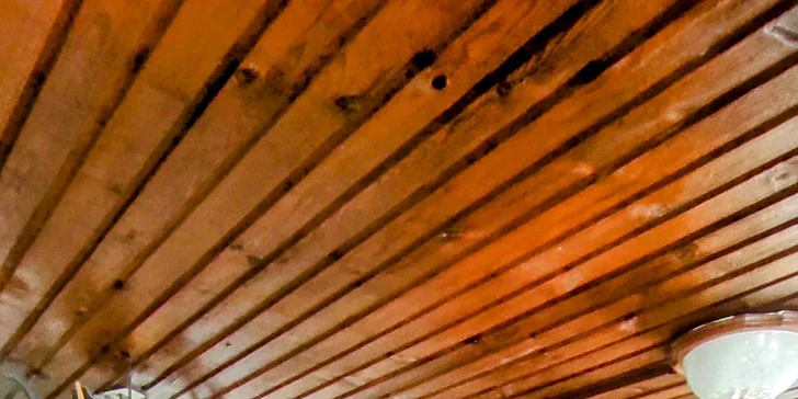 Krkonošská pohádka: penzion se snídaní či polopenzí, možnost wellness