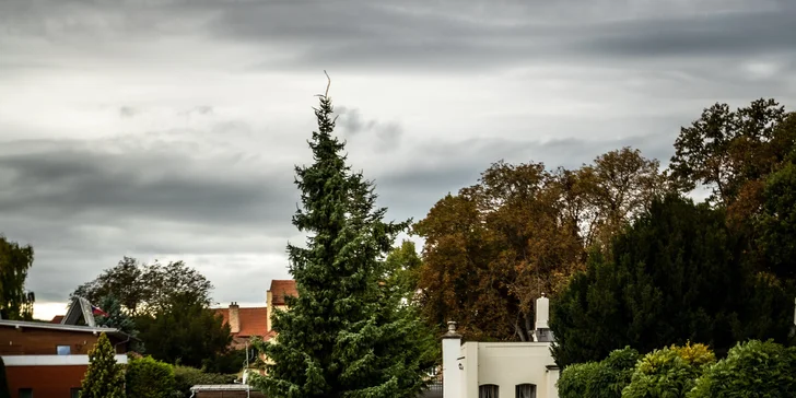 Zpátky do historie: půjčení Trabanta v Písku na 3 hod. a model Trabanta na památku