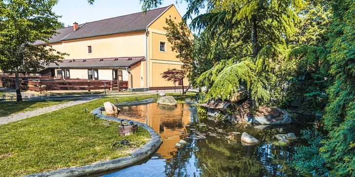 Pobyt na farmě s koňmi, prasátky i ovcemi kousek od Mosteckého jezera i vč. snídaní