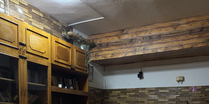 Únikovka plná napětí pro 2-6 hráčů: Záhada zmizelého profesora Gustava Peregrina