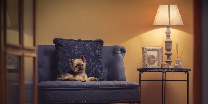 Luxusní rodinné apartmány v centru Košic: strava i privátní sauna či vířivá vana