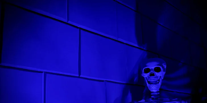 Úniková hra Indiana Jones & prokletí Aztéckého chrámu pro 2–6 osob