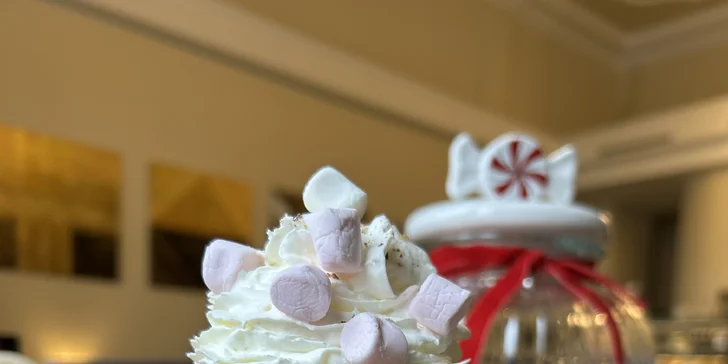 Bílá či tmavá horká čokoláda se šlehačkou a marshmallows pro 1 či 2 osoby